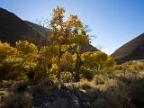 Death Valley 001 : Vermont Canoe Spring